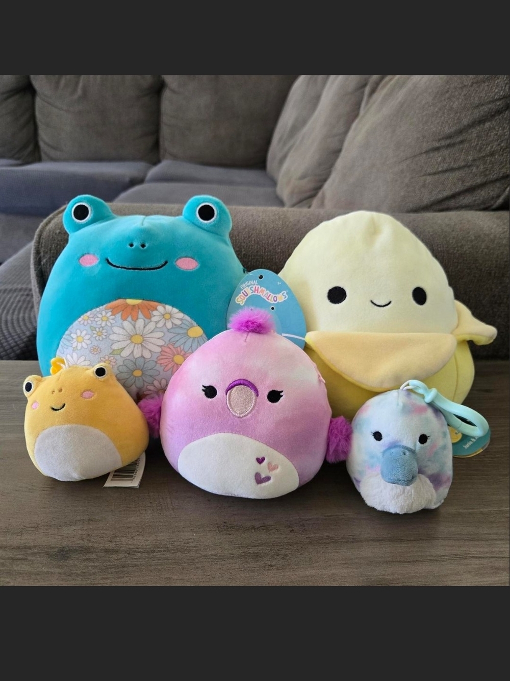 Squishmallow Bundle Of 5 Including 2 Keychains